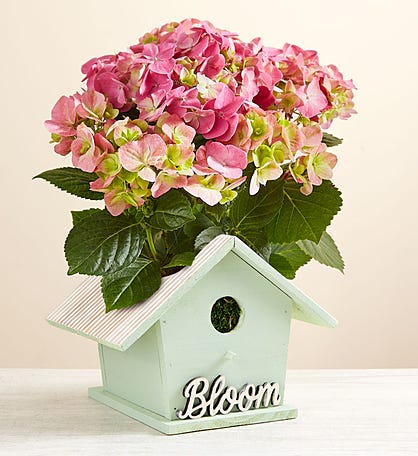 Birdhouse of Blooms®